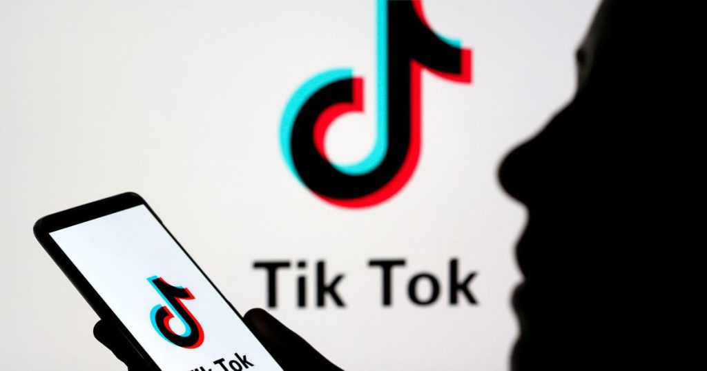 TikTok Video Downloader 